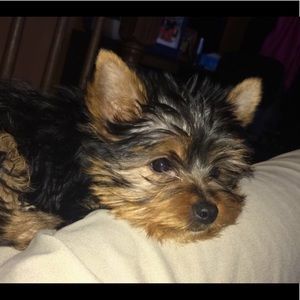 Meet your Posher, Maria